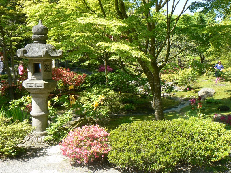 Japanese Garden - Seattle Arboretum